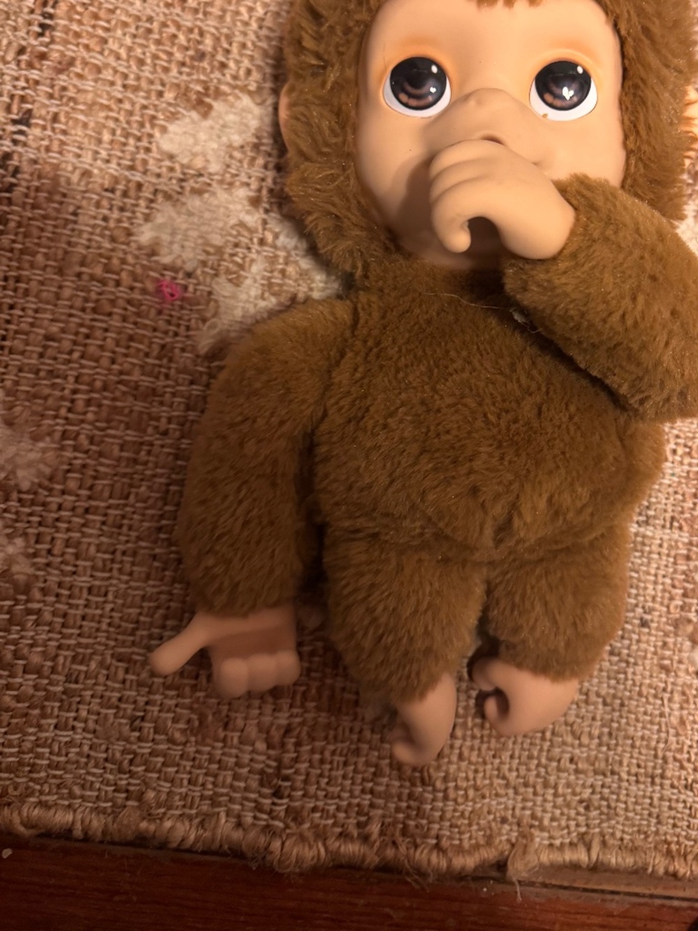 Little live pets monkey